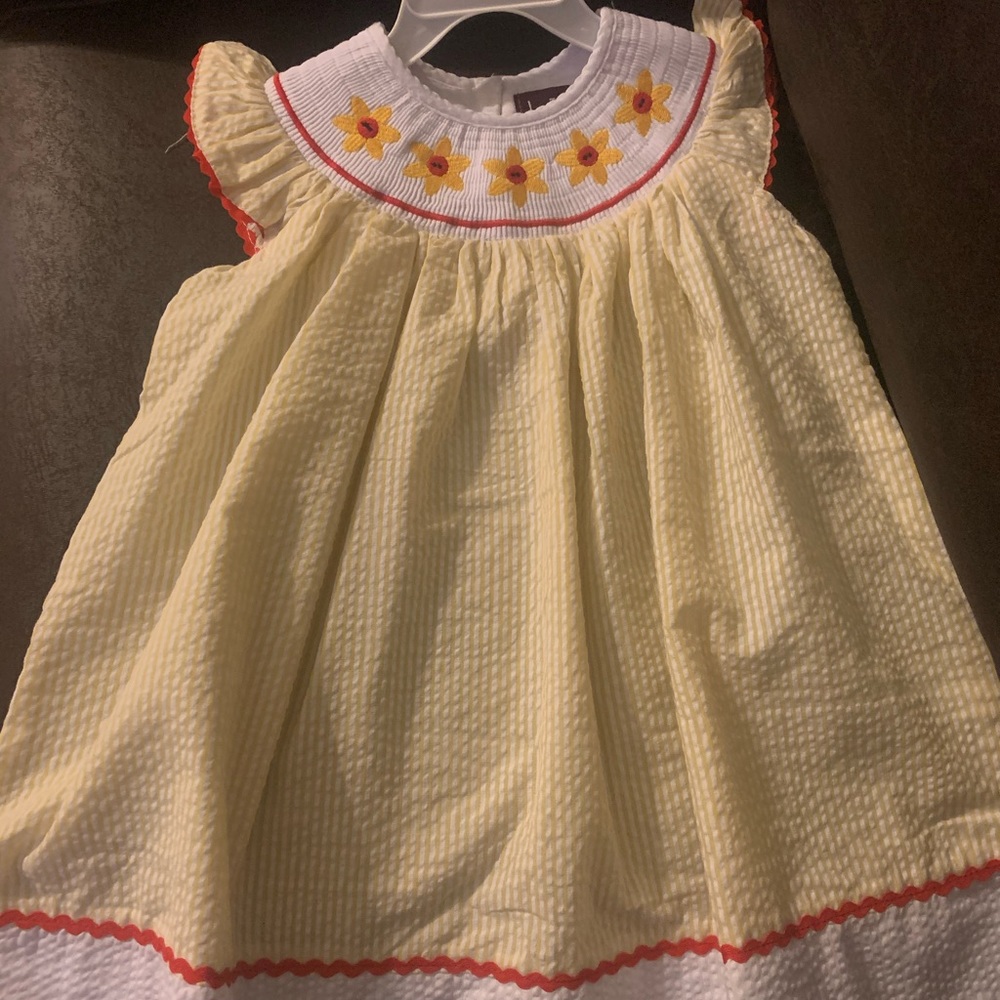 Lil Cactus smocked dress